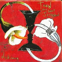Dulcinea - Toad - Wet Sprocket / CD