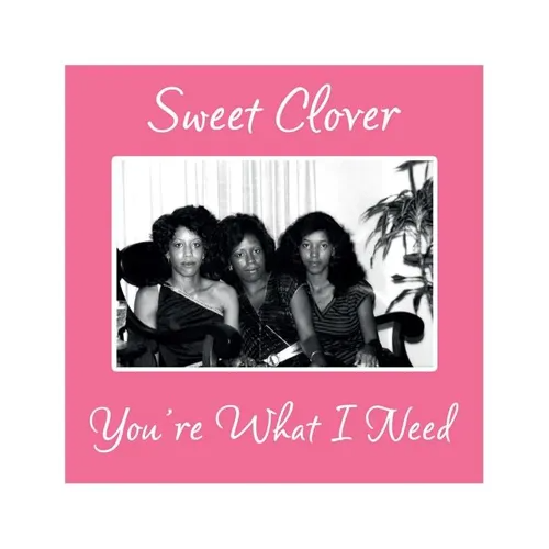 You're What I Need - Vinyle Maxi 45 Tours - Sweet Clover / Disque vinyle Maxi 4