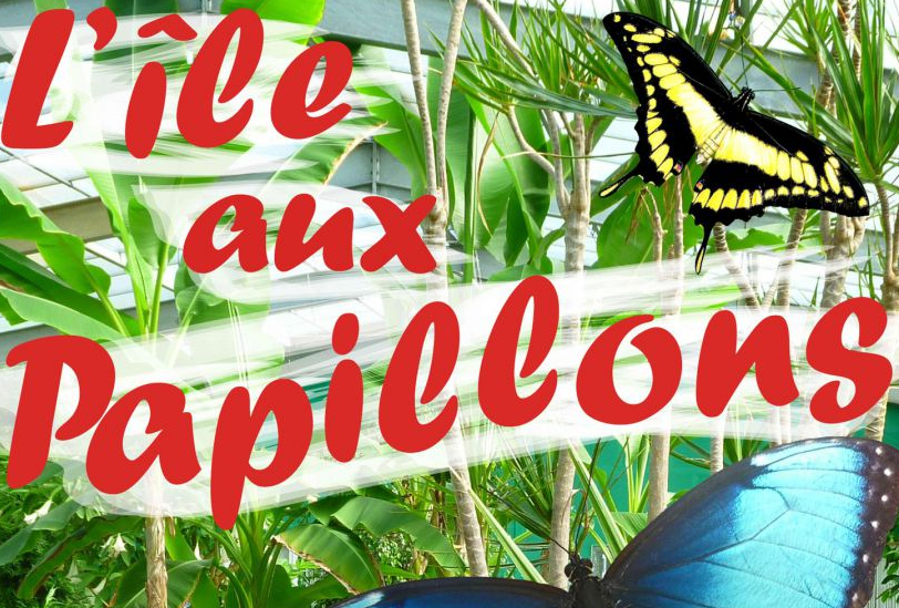 L Ile Aux Papillons - 1 Dvd 3 Films