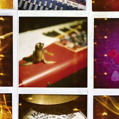 Cocoon — Back to Panda Mountains, CD + DVD live (2009)